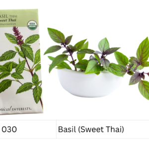 Basil (Sweet Thai)