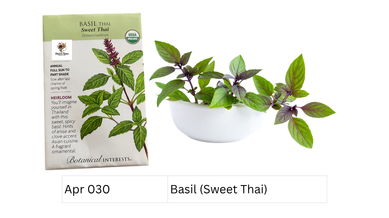 Basil (Sweet Thai)