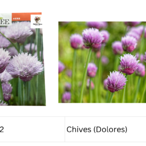 Chives (Dolores)