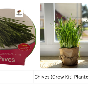 Chives (Grow Kit) Planter Pot