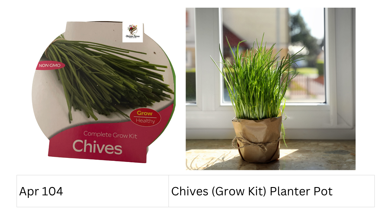 Chives (Grow Kit) Planter Pot
