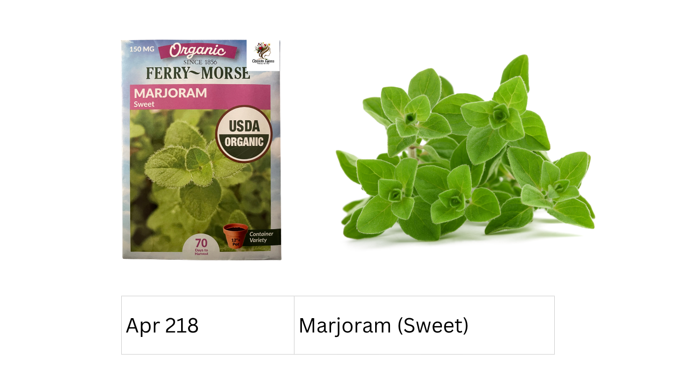 Marjoram (Sweet)