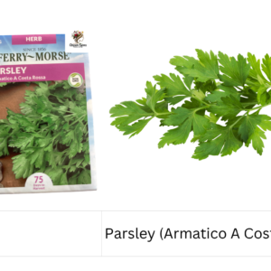 Parsley (Armatico A Costa Rossa)