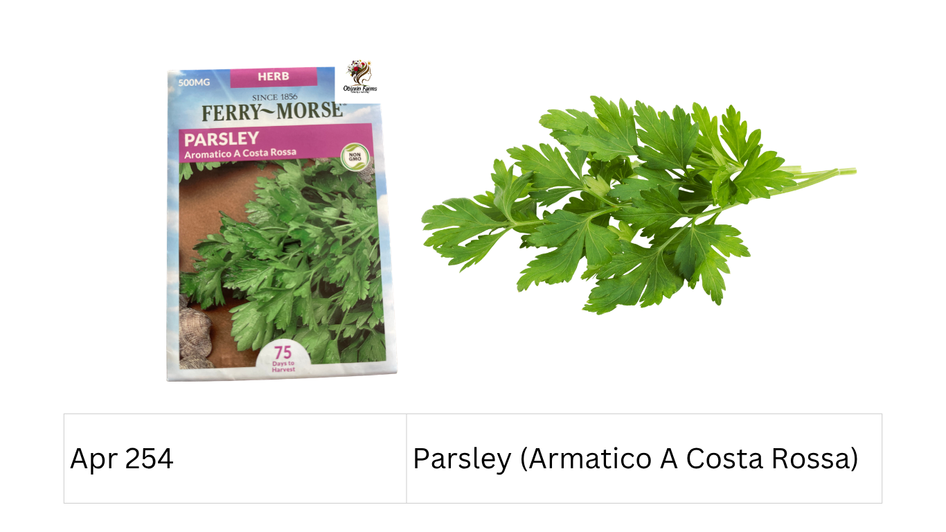 Parsley (Armatico A Costa Rossa)