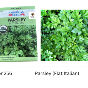 Parsley (Flat Italian)