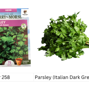 Parsley (Italian Dark Green)