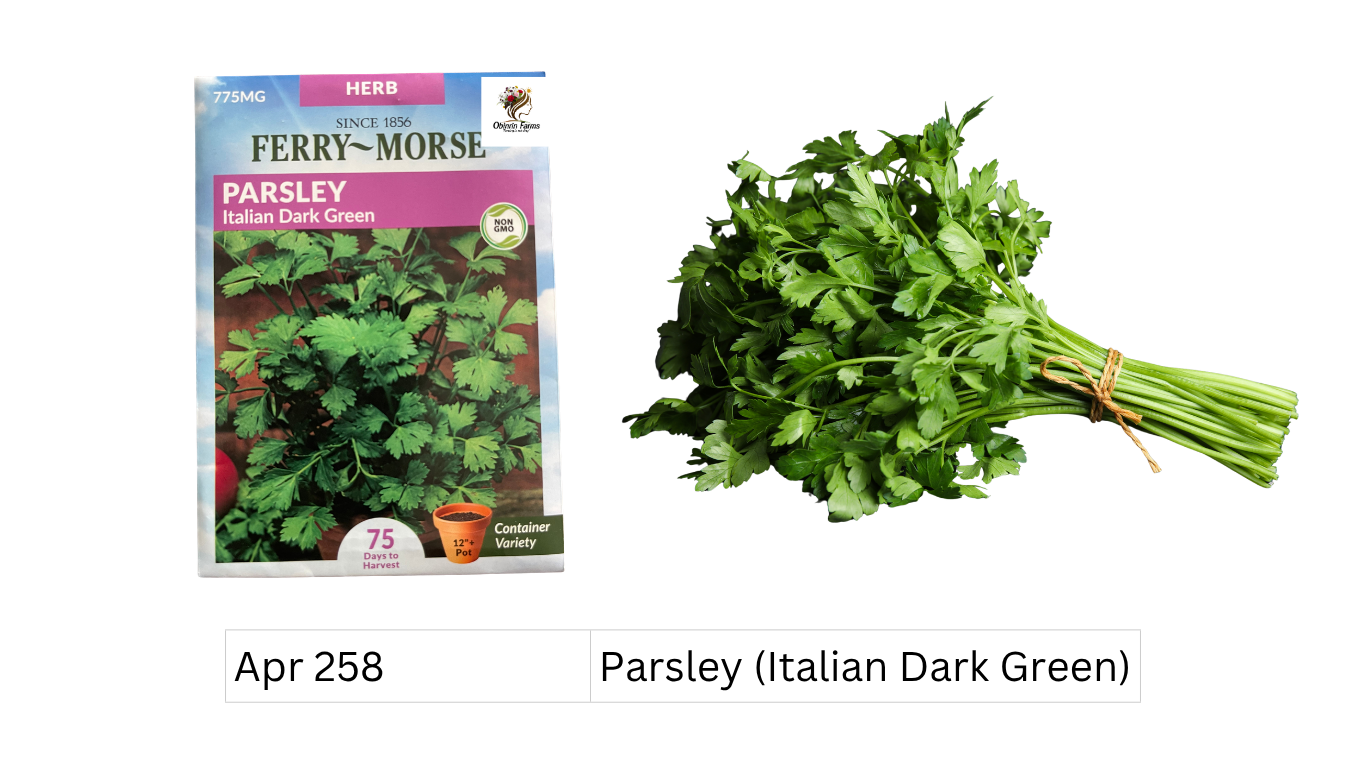 Parsley (Italian Dark Green)