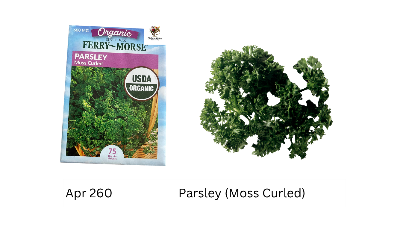 Parsley (Moss Curled)