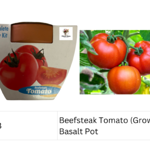 Beefsteak Tomato (Grow Kit) Basalt Pot