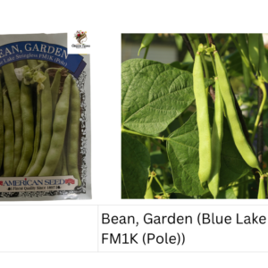 Bean, Garden (Blue Lake Stringless FM1K (Pole))