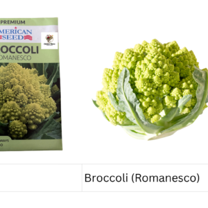 Broccoli (Romanesco)
