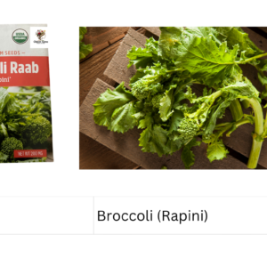 Broccoli (Rapini)