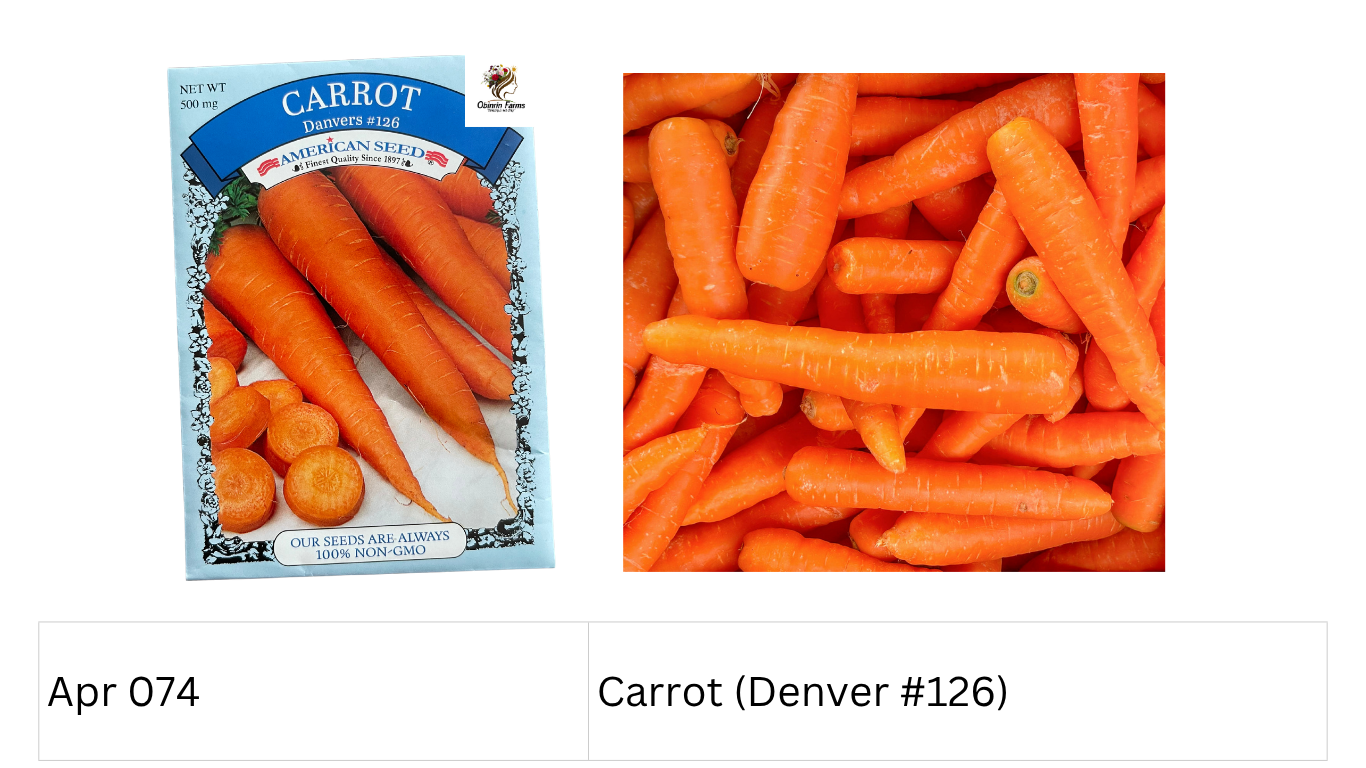 Carrot (Denver #126)