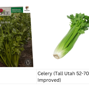 Celery (Tall Utah 52-70 R Improved)