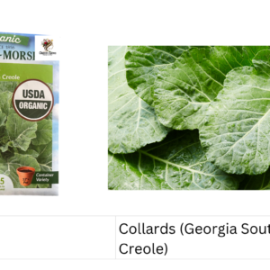 Collards (Georgia Southern Creole)