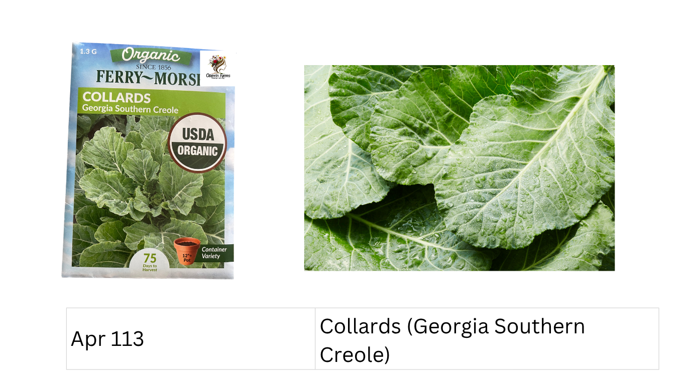 Collards (Georgia Southern Creole)