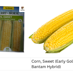 Corn, Sweet (Early Golden Bantam Hybrid)