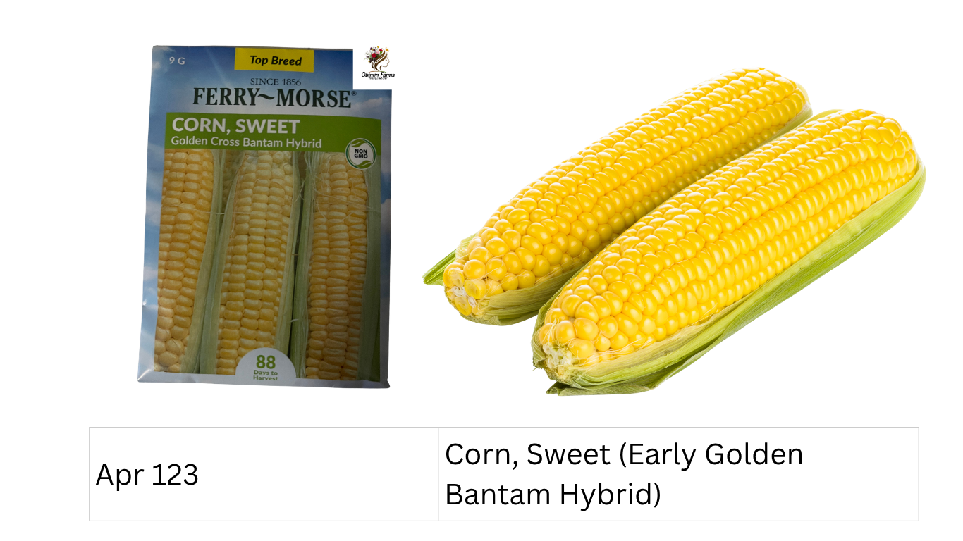 Corn, Sweet (Early Golden Bantam Hybrid)