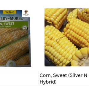 Corn, Sweet (Silver N Gold Hybrid)