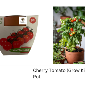 Cherry Tomato  (Grow Kit) Basalt Pot
