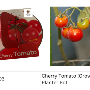 Cherry Tomato  (Grow Kit) Planter Pot