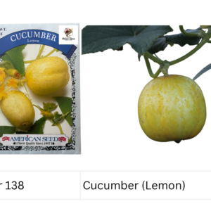 Cucumber (Lemon)