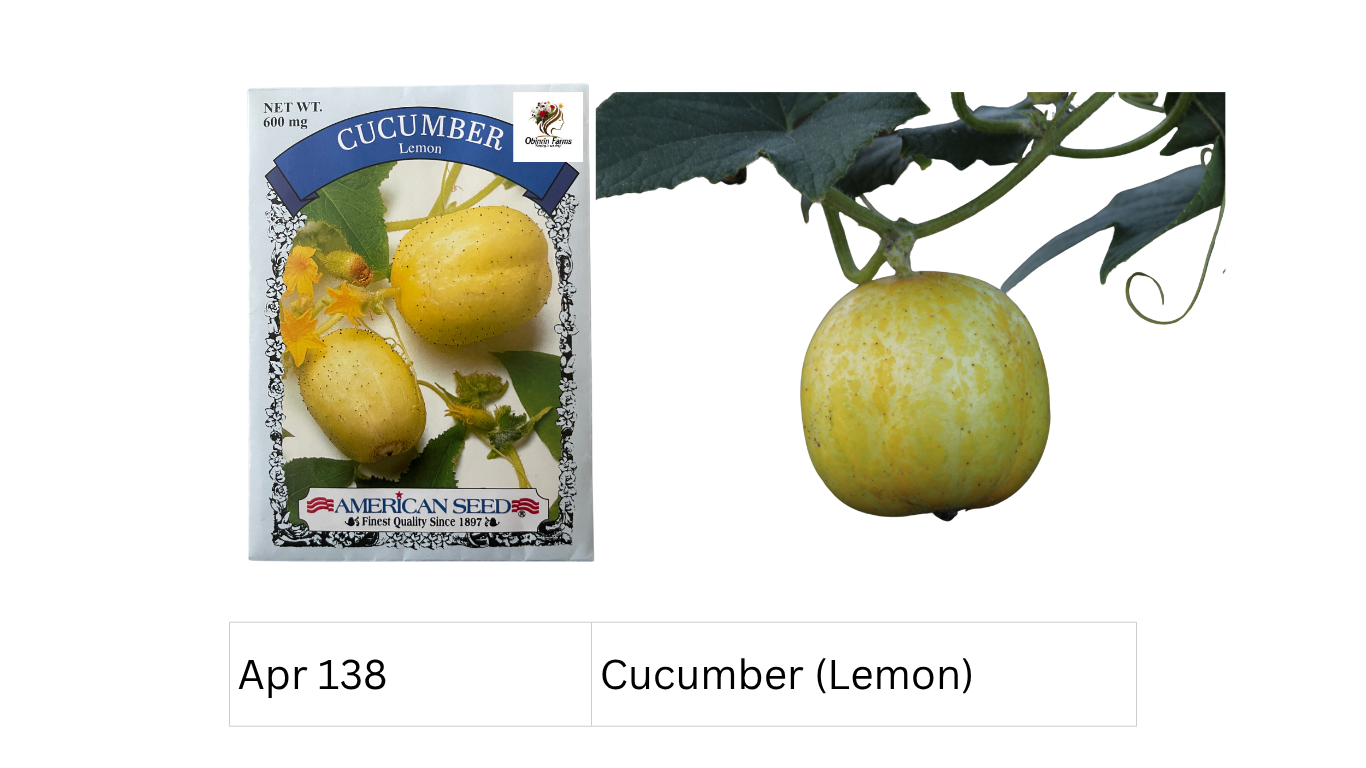 Cucumber (Lemon)