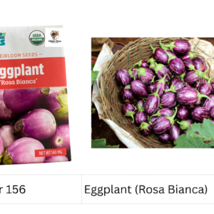 Eggplant (Rosa Bianca)