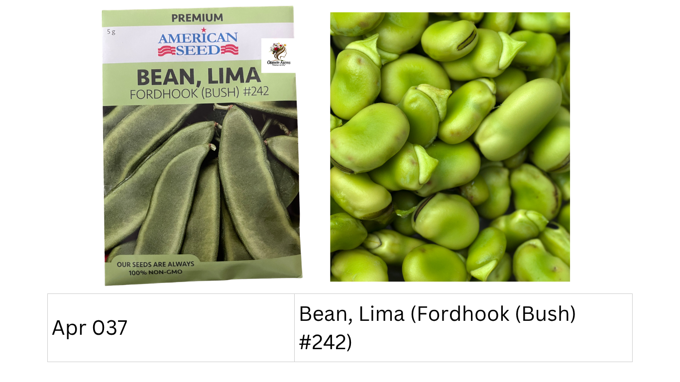 Bean, Lima (Fordhook (Bush) #242)