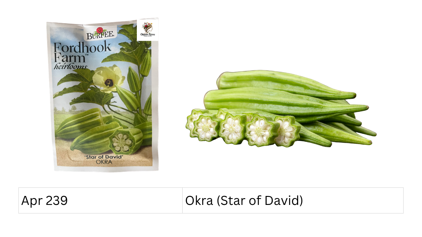 Okra (Star of David)