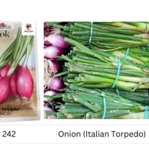 Onion (Italian Torpedo)
