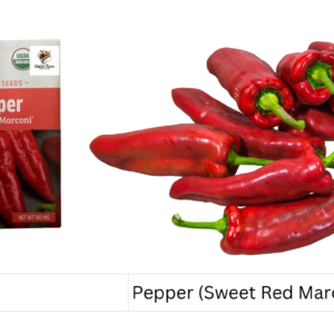 Pepper (Sweet Red Marconi)