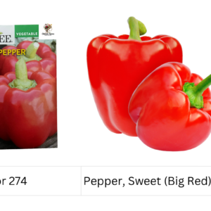 Pepper, Sweet (Big Red)