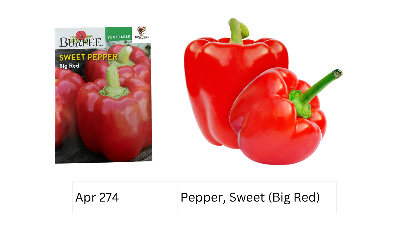 Pepper, Sweet (Big Red)