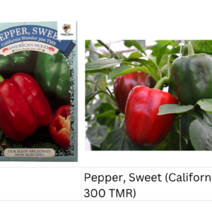 Pepper, Sweet (California Wonder 300 TMR)