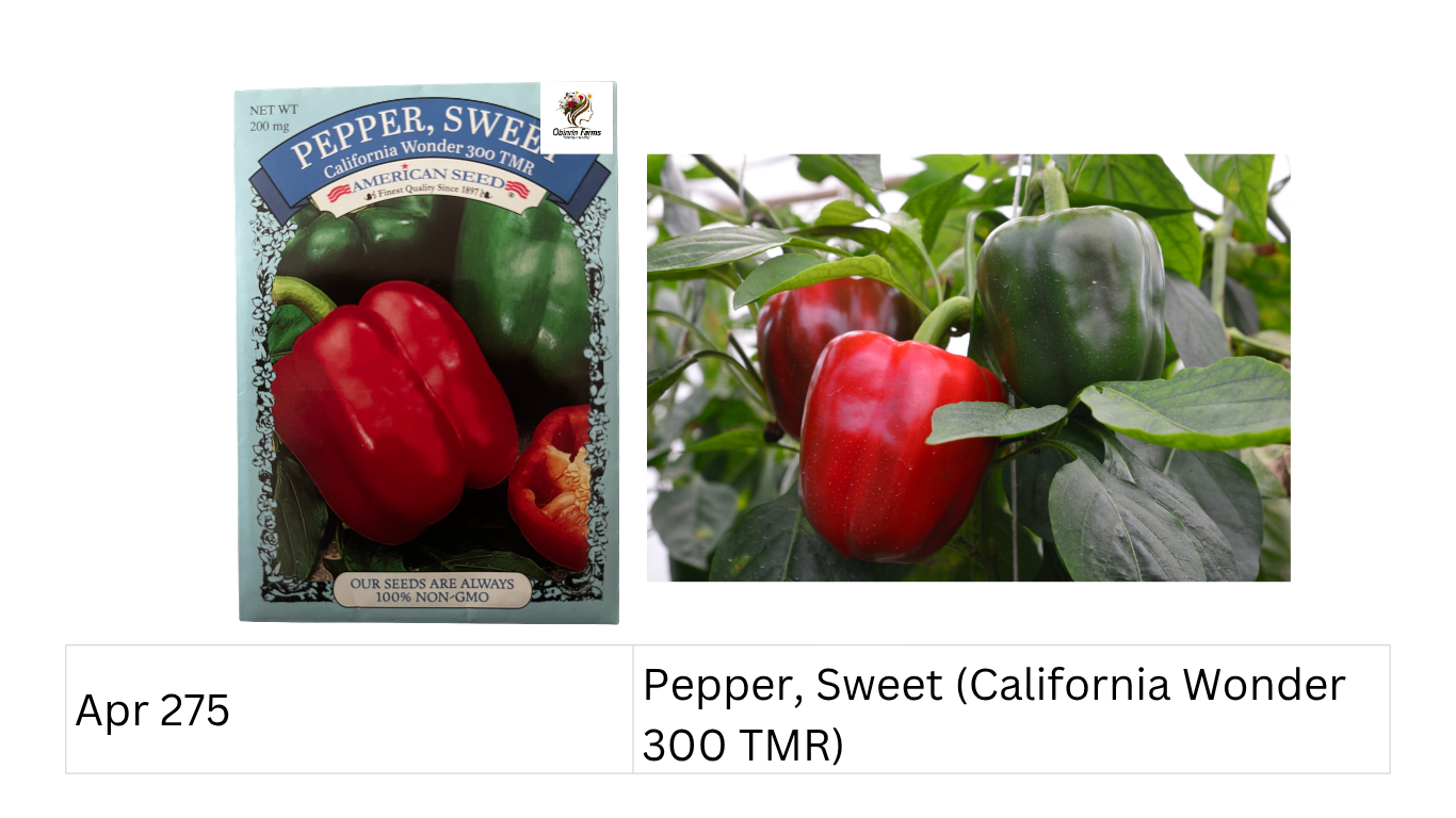 Pepper, Sweet (California Wonder 300 TMR)