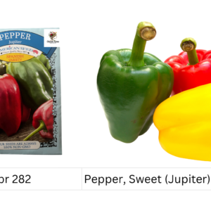 Pepper, Sweet (Jupiter)
