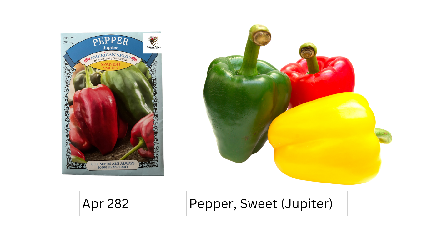 Pepper, Sweet (Jupiter)