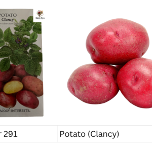 Potato (Clancy)