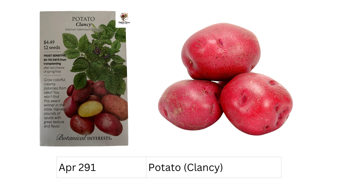 Potato (Clancy)