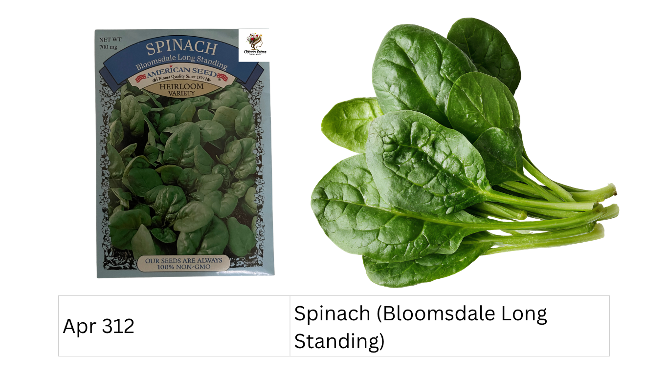Spinach (Bloomsdale Long Standing)