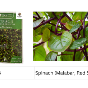 Spinach (Malabar, Red Stem)