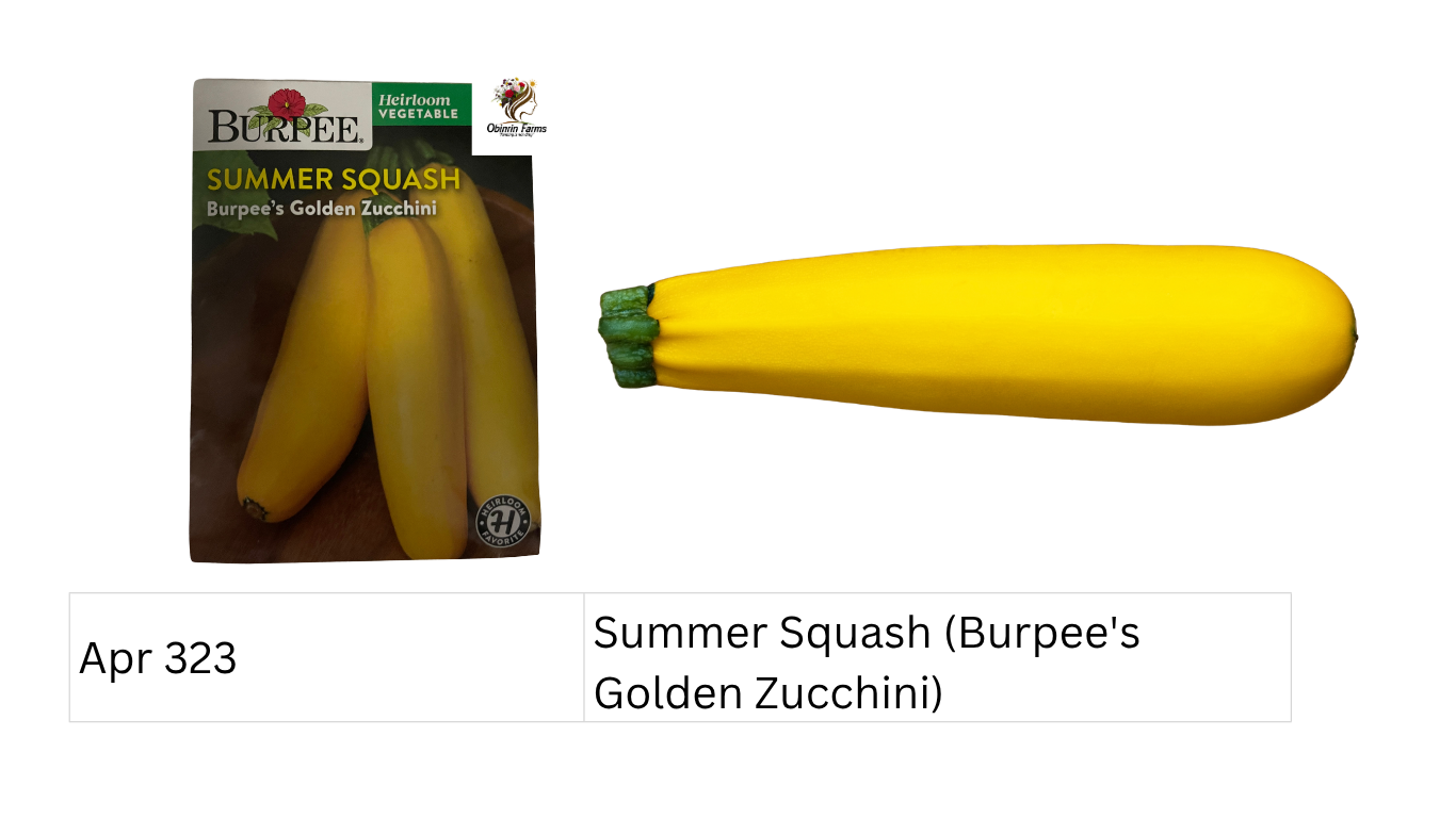 Summer Squash (Burpee's Golden Zucchini)