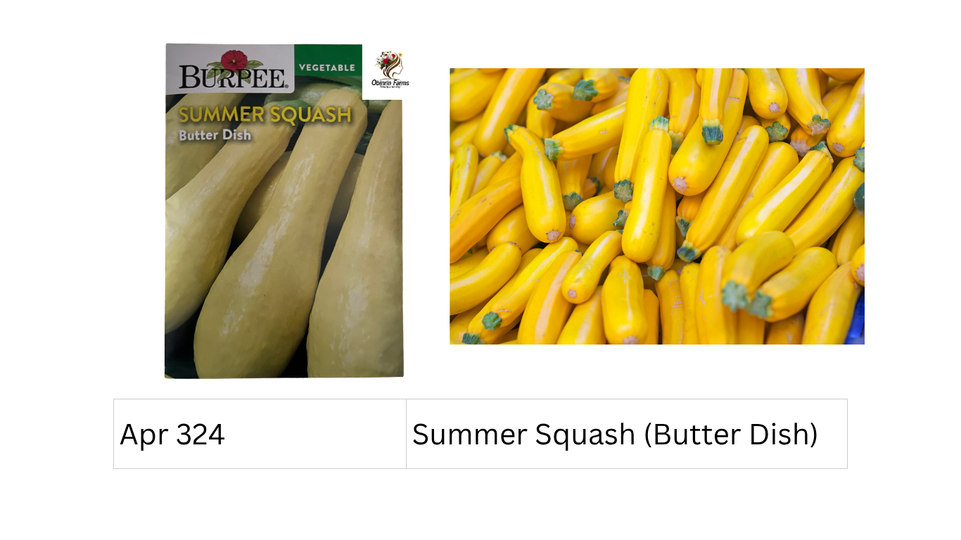 Summer Squash (Butter Dish)
