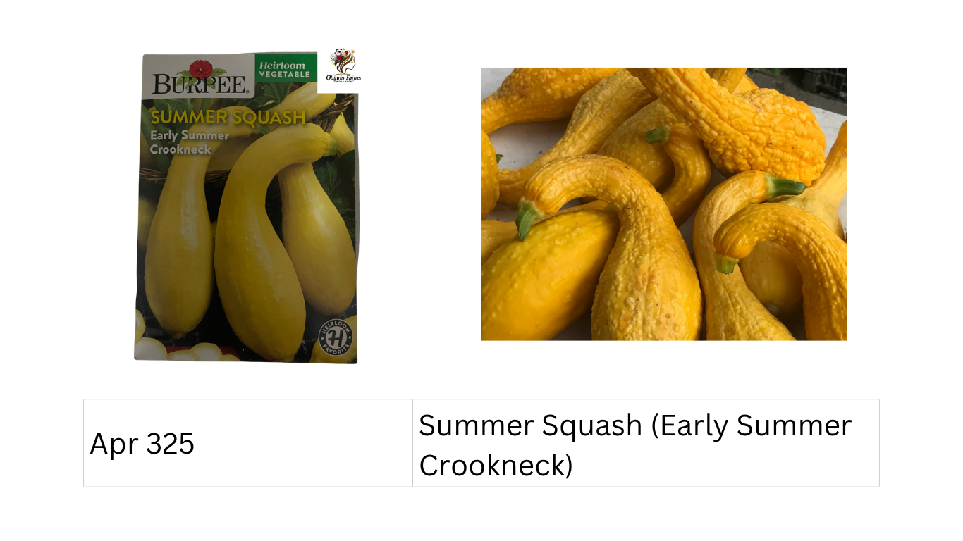 Summer Squash (Early Summer Crookneck)