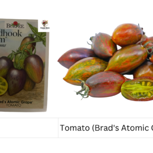 Tomato (Brad's Atomic Grape)