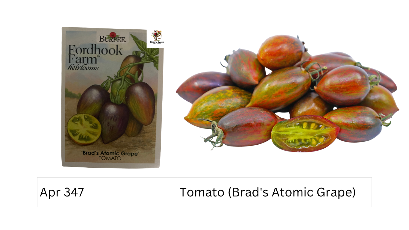 Tomato (Brad's Atomic Grape)