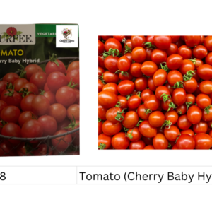 Tomato (Cherry Baby Hybrid)