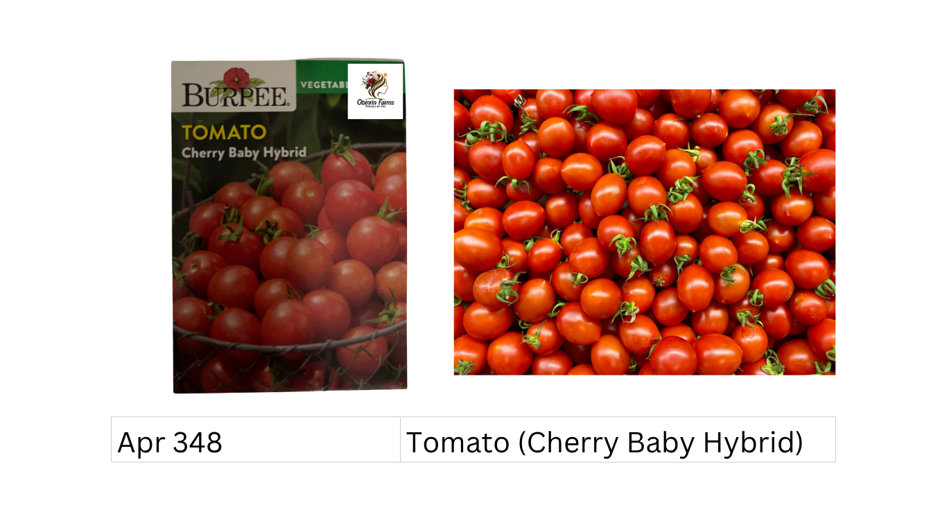 Tomato (Cherry Baby Hybrid)
