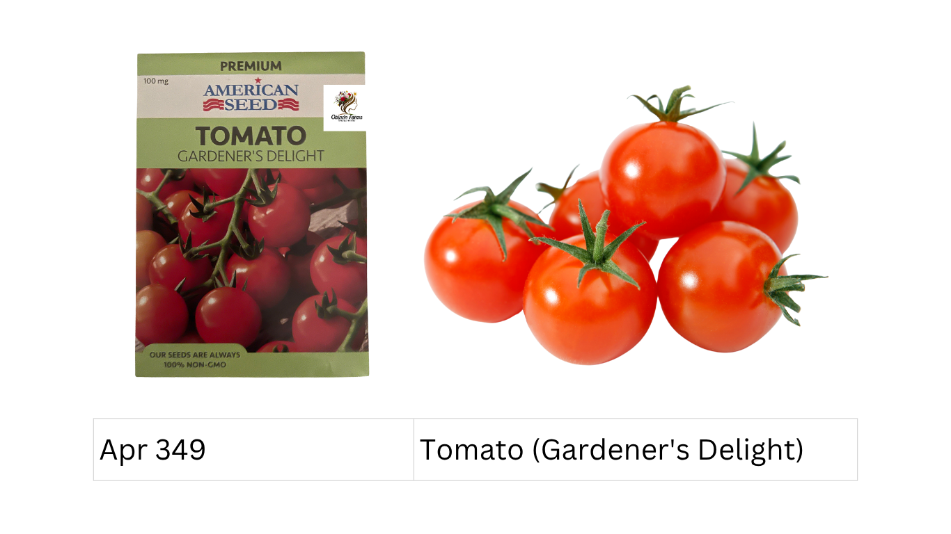 Tomato (Gardener's Delight)